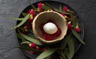 Brae restaurant in Birregurra, regional Victoria - red flowering eucalyptus ice-cream